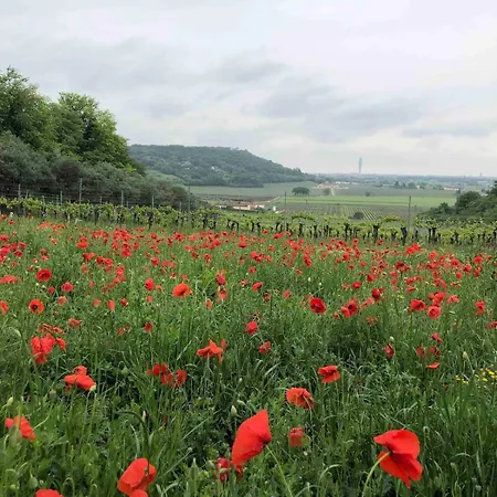 بيت ضيافة Panoramic فيرونا