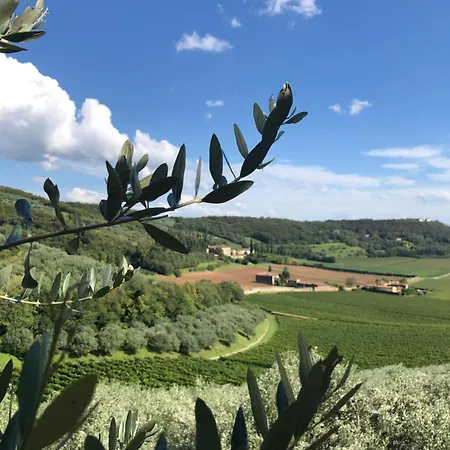 Panoramic فيرونا