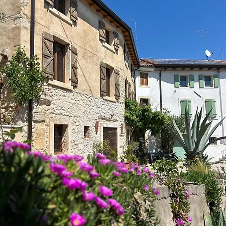 Panoramic