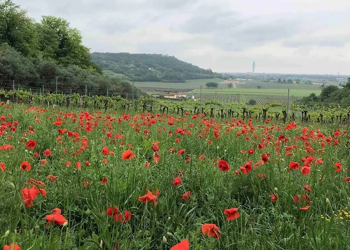 بيت ضيافة Panoramic فيرونا