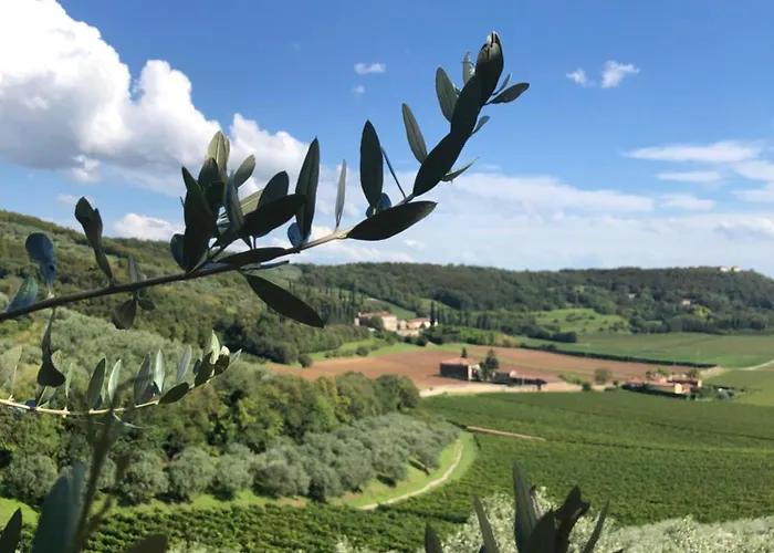 Panoramic فيرونا